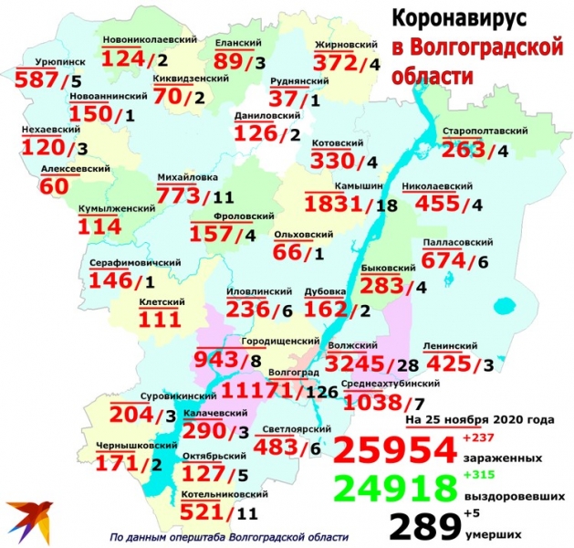 Михайловский и Камышинский районы вместе с Волгоградом в антилидерах по приросту коронавируса