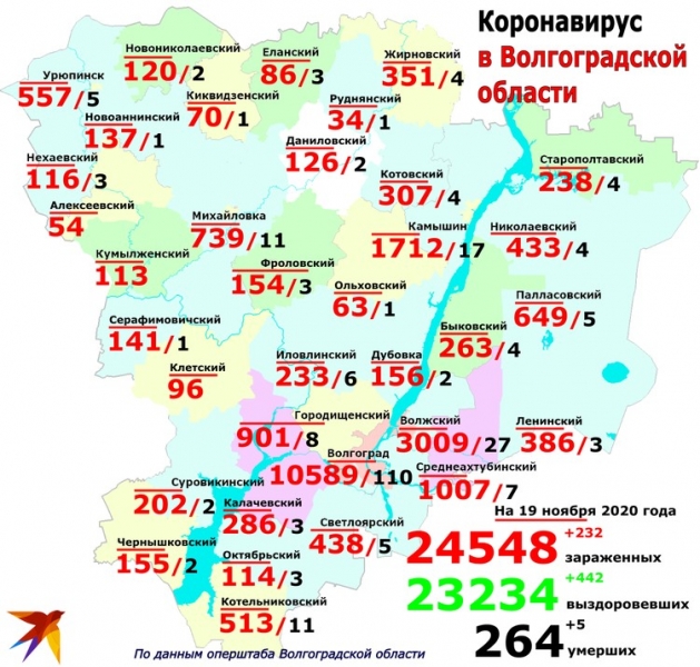 В Камышине прирост пациентов с коронавирусом выше, чем в Волгограде