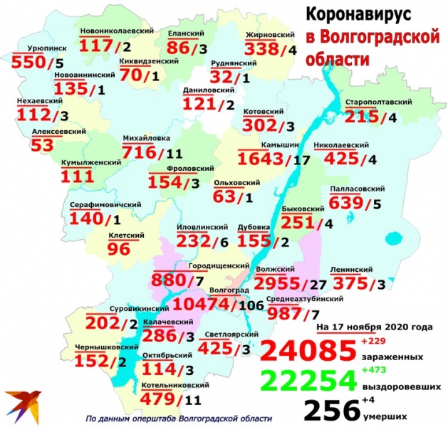 Вспышки коронавируса в Волгограде, Камышине и Старополтавском районе