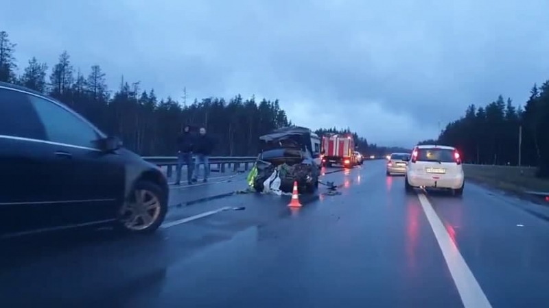 ДТП под Петербургом сорвало планы убийц закопать труп мужчины