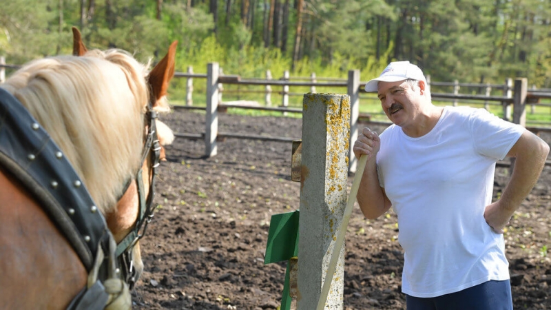 Александр Лукашенко не захотел вступать «внутрь какого-то государства» и объяснил почему