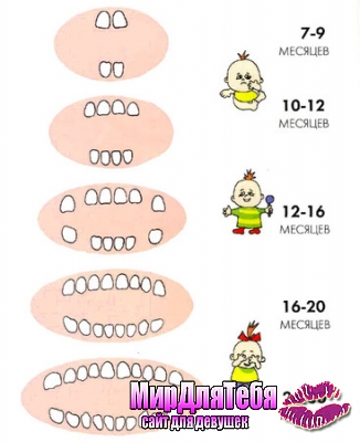 Прорезывание зубов у малышей!