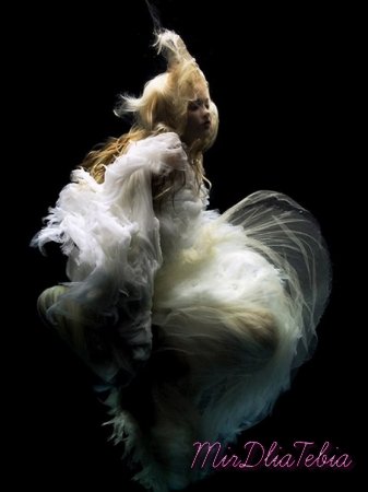 Underwater photography by Zena Holloway!