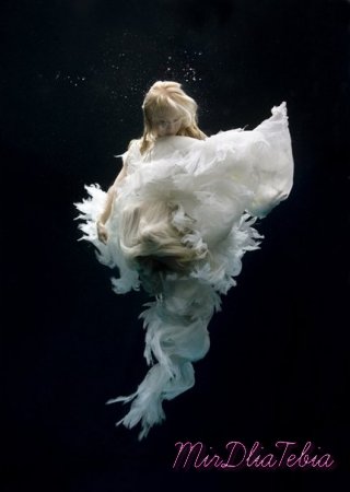 Underwater photography by Zena Holloway!