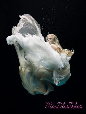 Underwater photography by Zena Holloway!