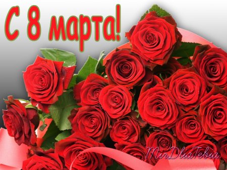 С 8 МАРТА!!!И зайка Zoobe!!!