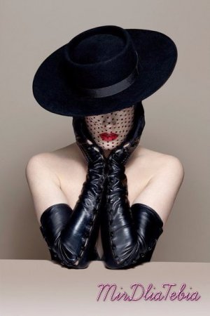 Dita Von Teese Debute Glove Collection!