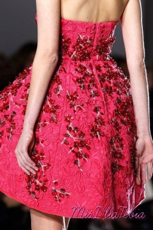 Giambattista Valli Couture (Details)