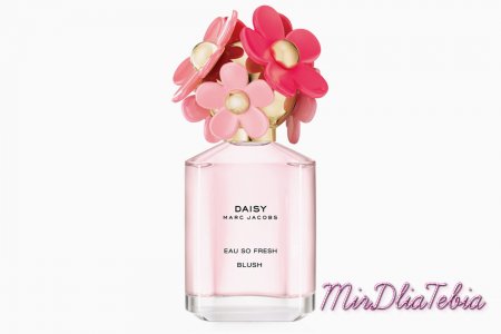 Маргаритки в цвету: обновленный аромат Marc Jacobs Daisy Blush