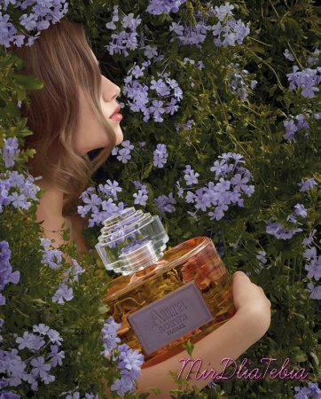 Аромат мадридских фиалок Loewe Aura Floral