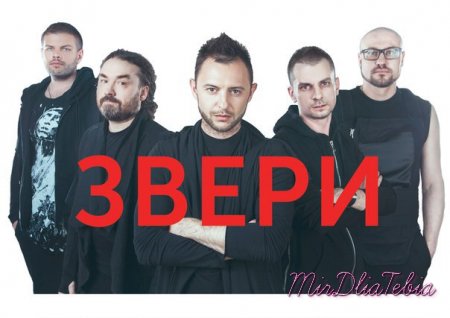 Новый клип - Звери - Муха (2016)