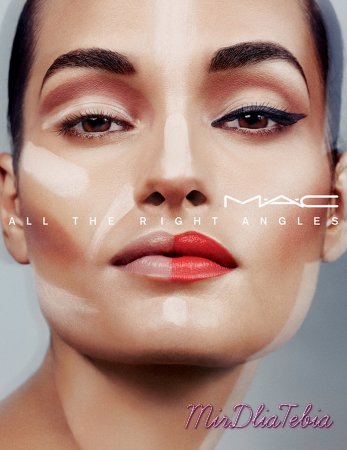 Скульптурирующая коллекция MAC All The Right Angled Collection Spring 2016