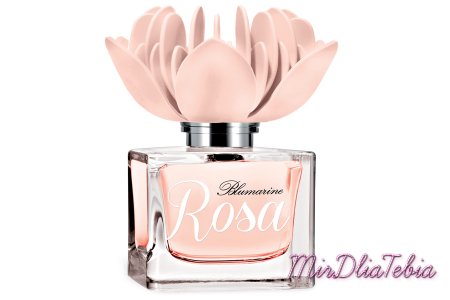 Аромат Blumarine Rosa — королевский цветок в парфюмерном саду