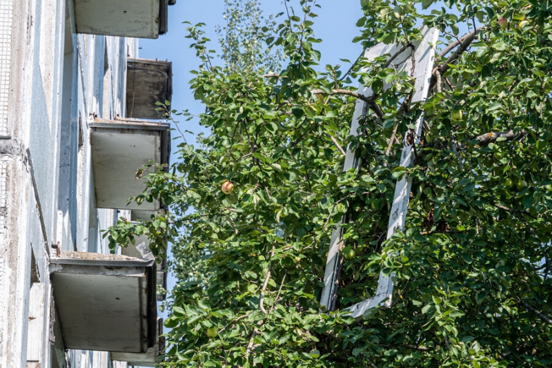 Свидетеля по громкому убийству журналиста Дмитрия Холодова нашли мертвым в Подмосковье